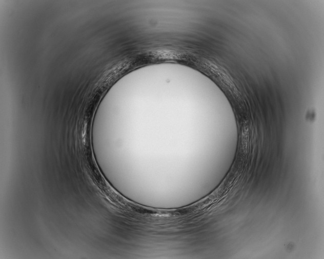 X0000101100406200806261049