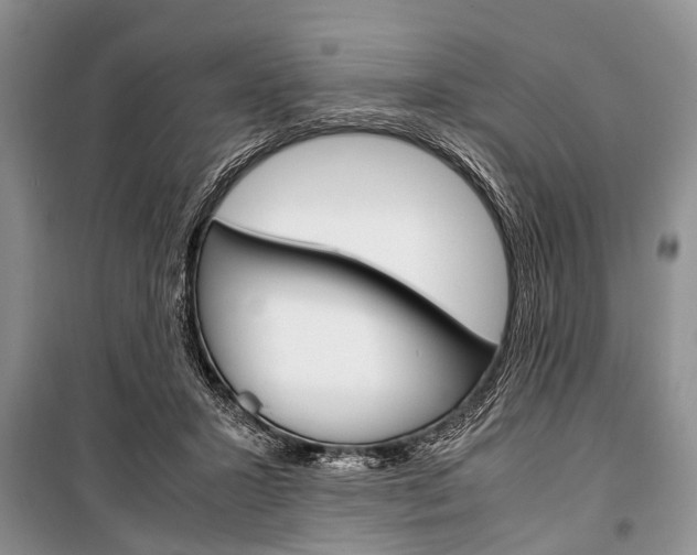 X0000101100407200806261049