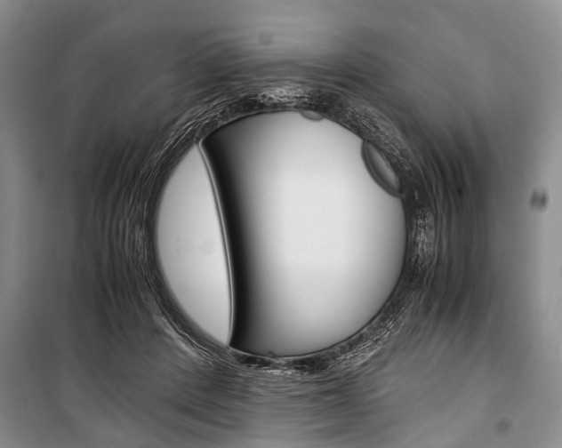 X0000101100408200806261049