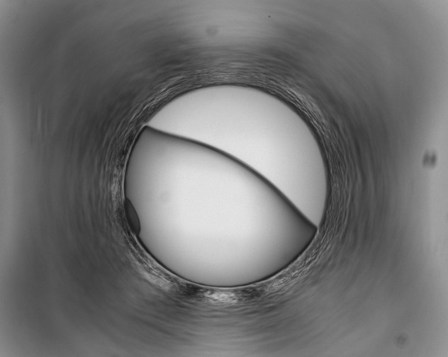 X0000101100409200806261049
