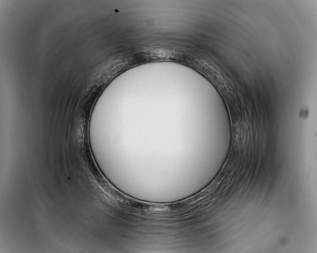 X0000101100410200806261049