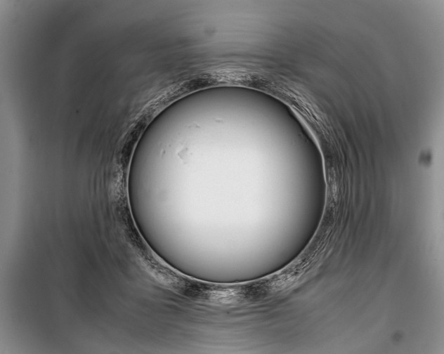 X0000101100411200806261049