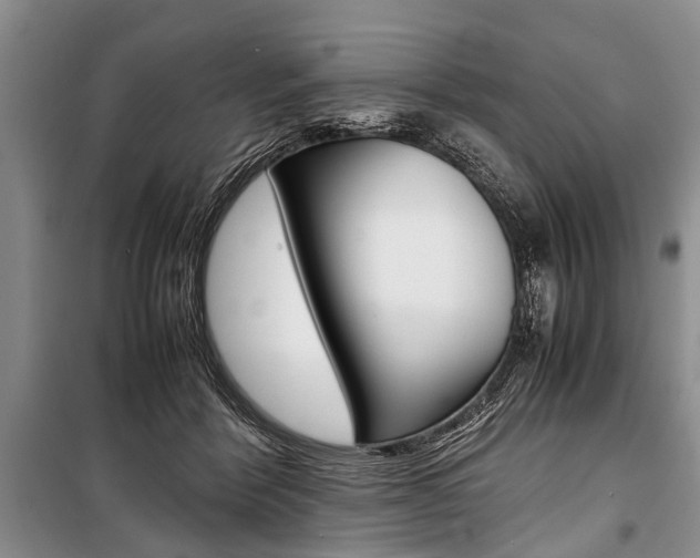 X0000101100412200806261049