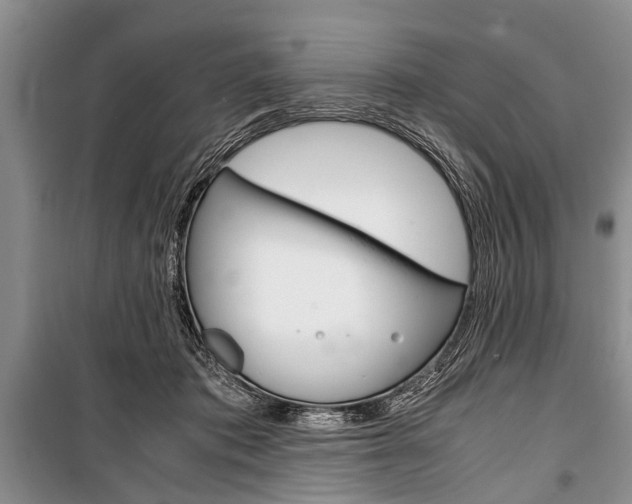 X0000101100413200806261049