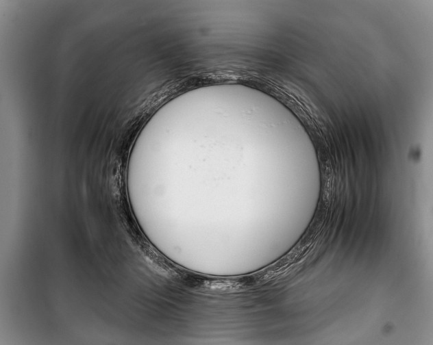 X0000101100414200806261049