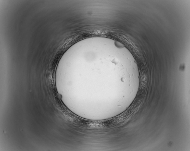 X0000101100415200806261049