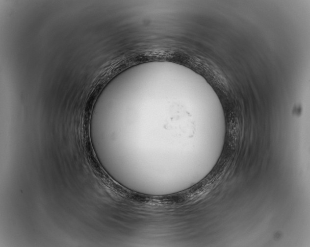 X0000101100416200806261049