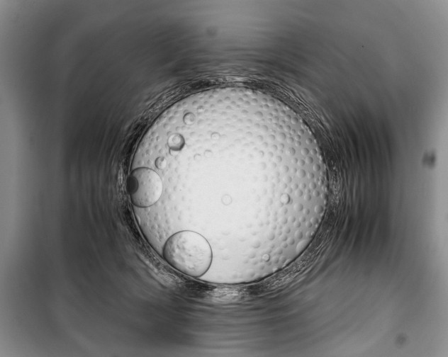 X0000101100418200806261049