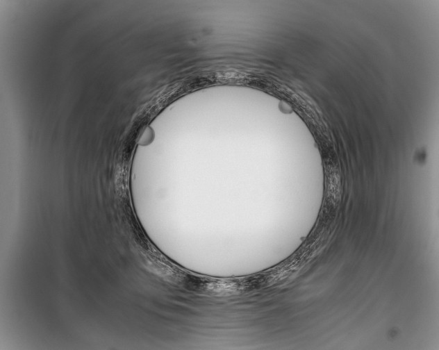 X0000101100419200806261049