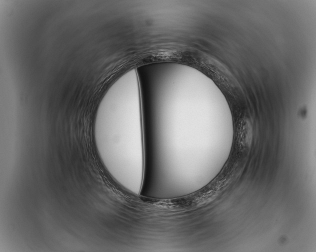 X0000101100420200806261049