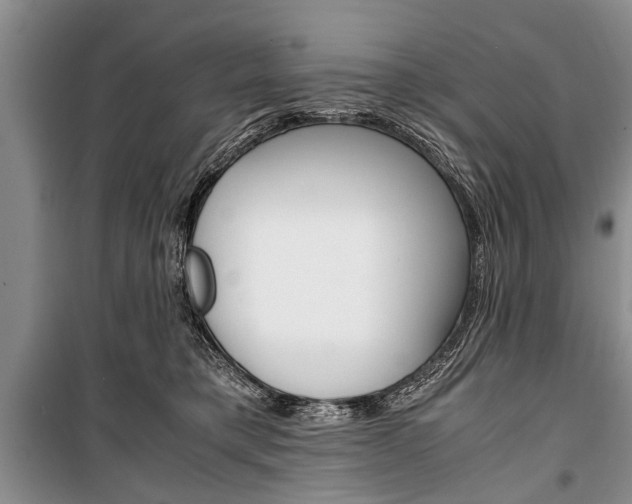 X0000101100421200806261049