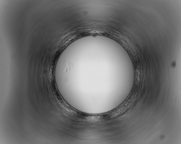 X0000101100422200806261049