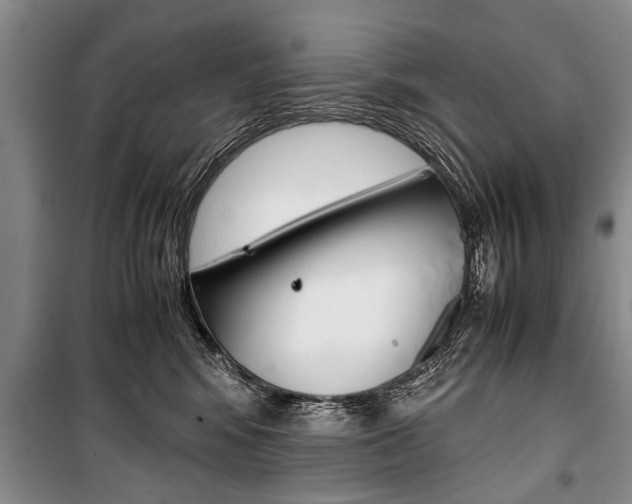X0000101100424200806261049