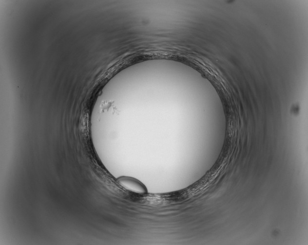 X0000101100425200806261049