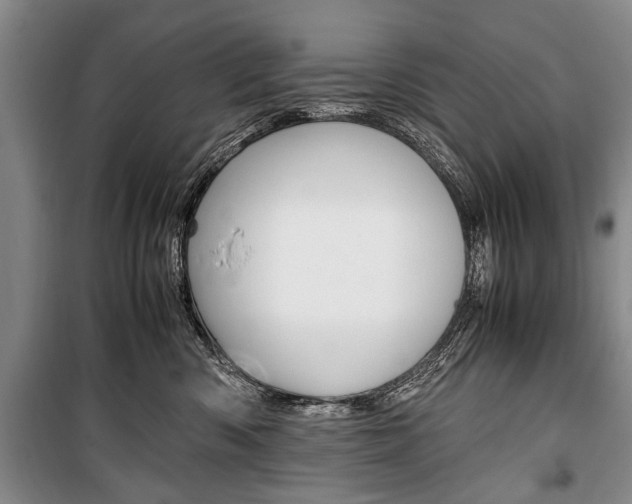 X0000101100426200806261049