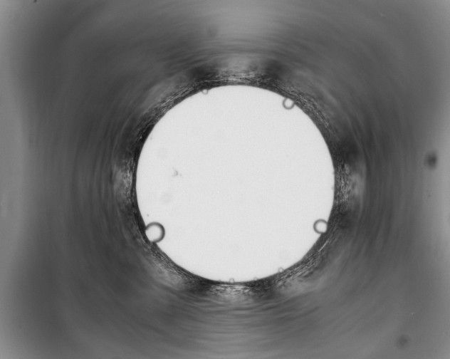 X0000101100427200806261049