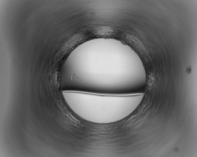 X0000101100428200806261049