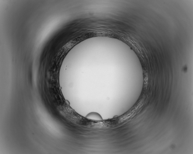 X0000101100430200806261049