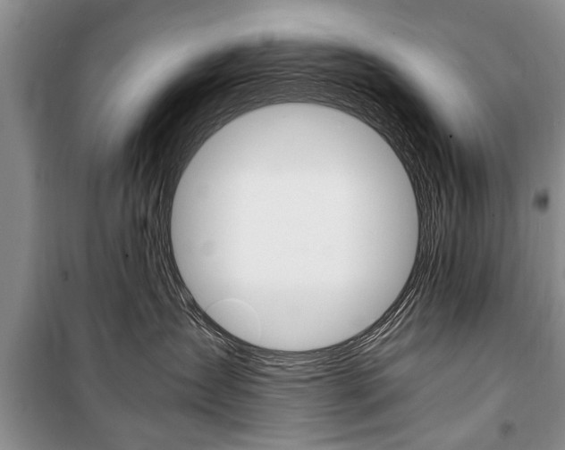 X0000101100431200806261049