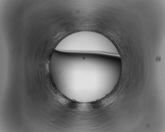 X0000101100432200806261049