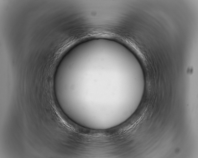 X0000101100433200806261048