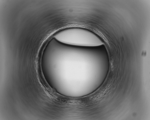 X0000101100436200806261048