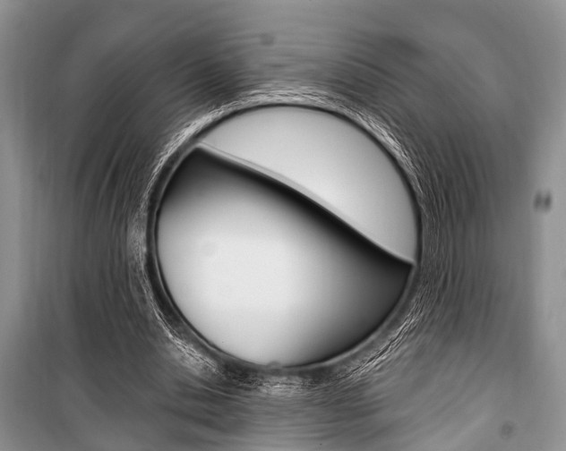 X0000101100438200806261048