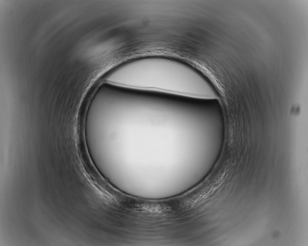 X0000101100439200806261048