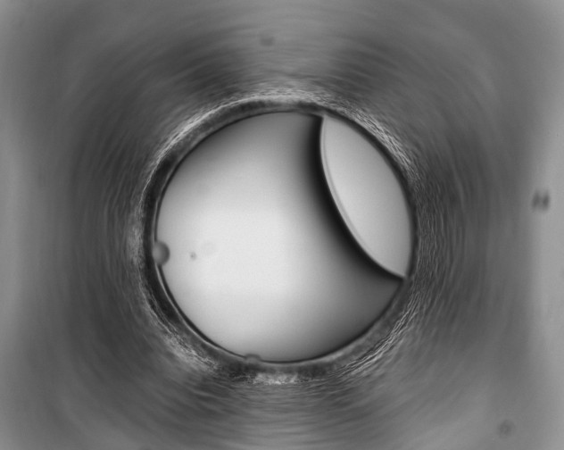 X0000101100440200806261048