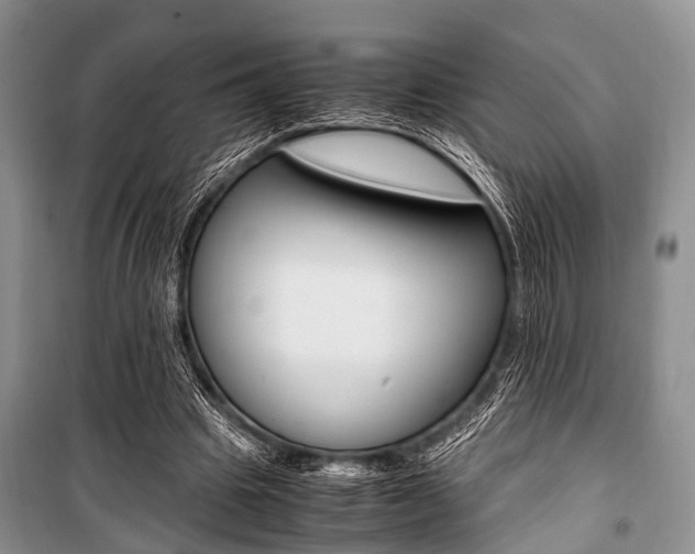X0000101100441200806261048
