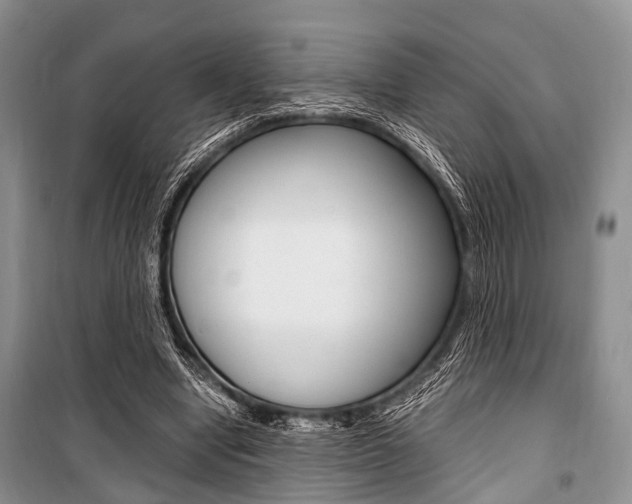 X0000101100442200806261048