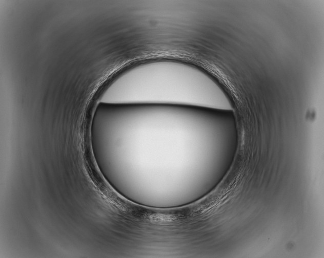 X0000101100444200806261048