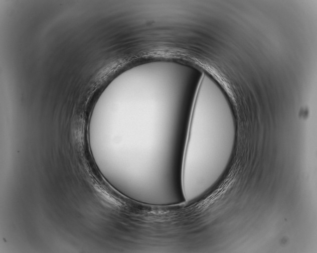 X0000101100445200806261048