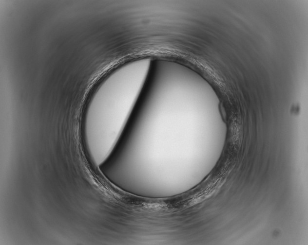 X0000101100446200806261048
