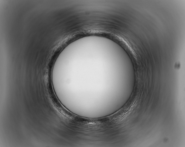 X0000101100447200806261048