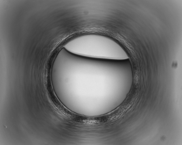 X0000101100448200806261048