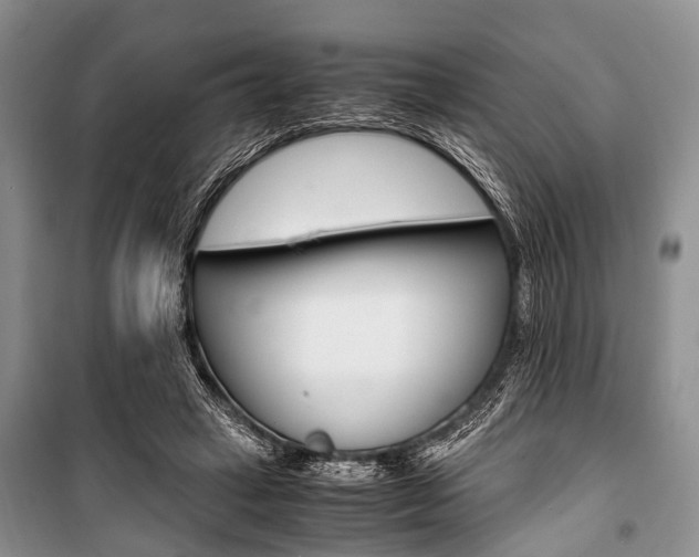 X0000101100449200806261049