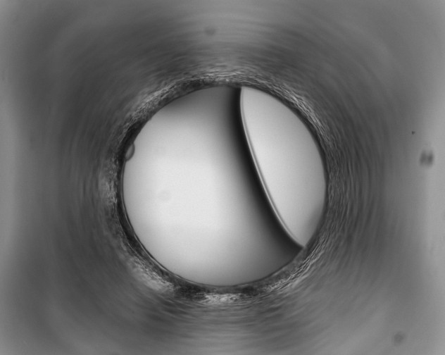 X0000101100450200806261049