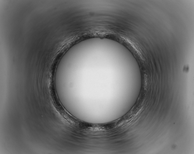 X0000101100451200806261049