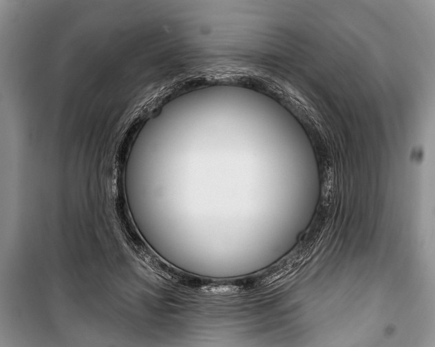 X0000101100452200806261049