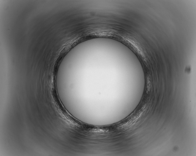 X0000101100453200806261049