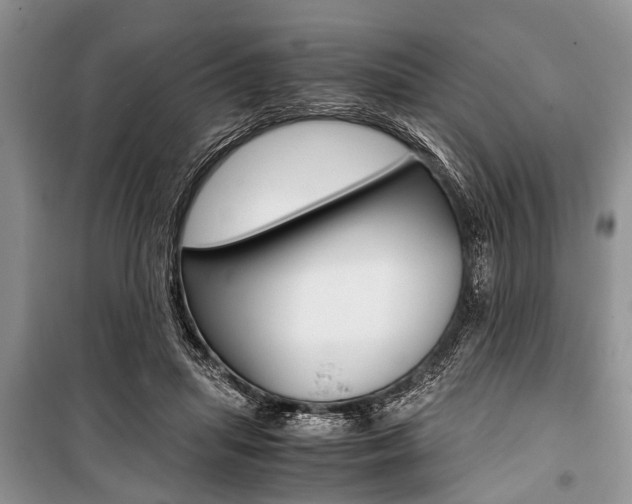 X0000101100455200806261049