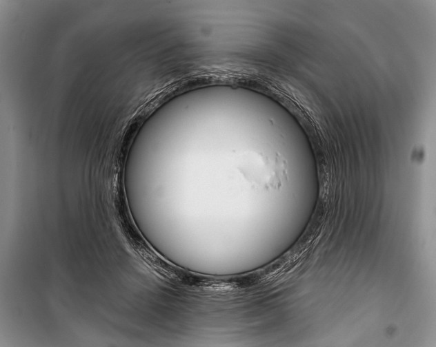 X0000101100456200806261049