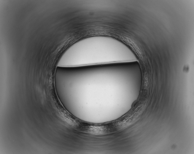 X0000101100457200806261049