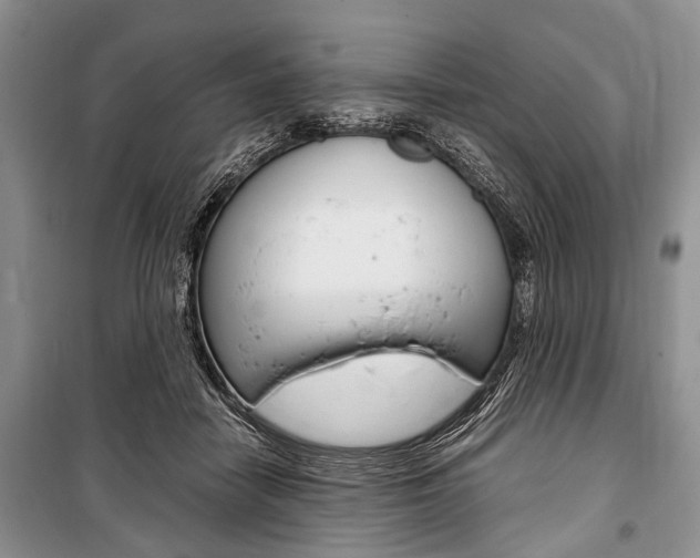 X0000101100458200806261049