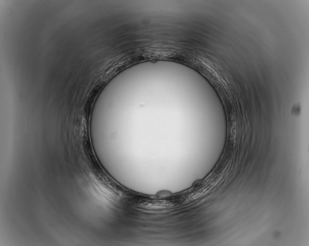 X0000101100459200806261049