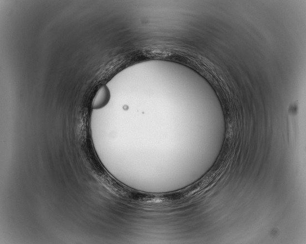 X0000101100460200806261049