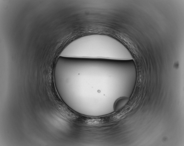 X0000101100461200806261049