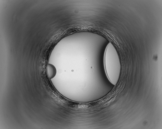 X0000101100462200806261049