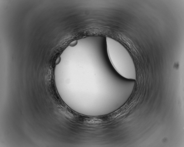 X0000101100463200806261049